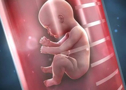 栖霞市做试管婴儿怎么样？推荐这几家试管医院