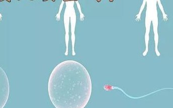 单身女人试管全过程需要多少费用？