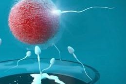 价格揭晓：宁夏三代试管婴儿大概需要多少钱？消费明细来了！