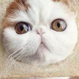 黄石三代试管需要什么条件才能做？附详细流程及费用