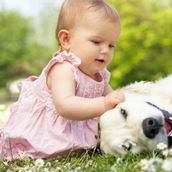 选择吉尔吉斯斯坦试管婴儿服务，费用与服务品质的权衡分析