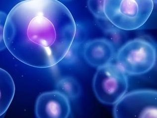 如何提高试管婴儿的成功率。提高试管婴儿成功率的秘诀。